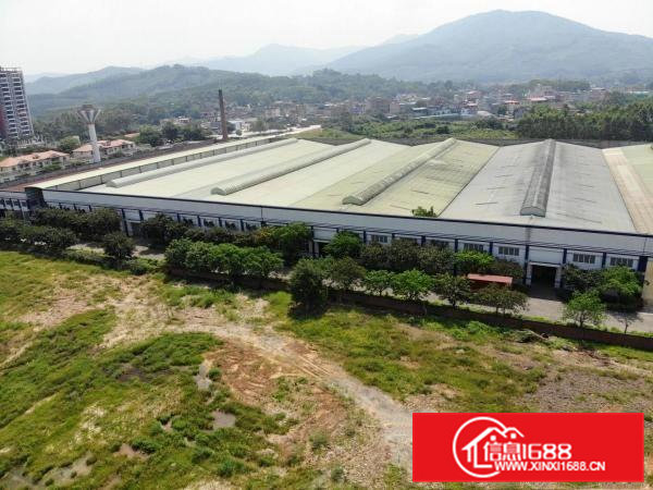 石排安博标准物流仓储厂房出租