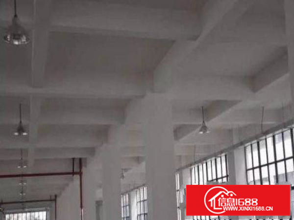 平湖鹅公岭附近先有独栋二楼三楼各1000平方厂房出租，可分租