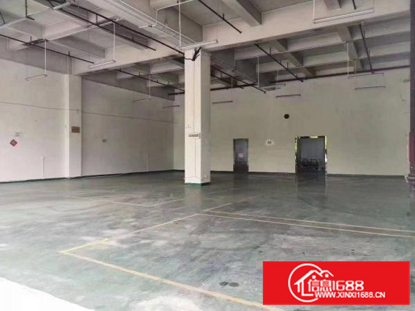 清湖地铁口一楼700平可分租一半新装修可做国际物流仓储办公