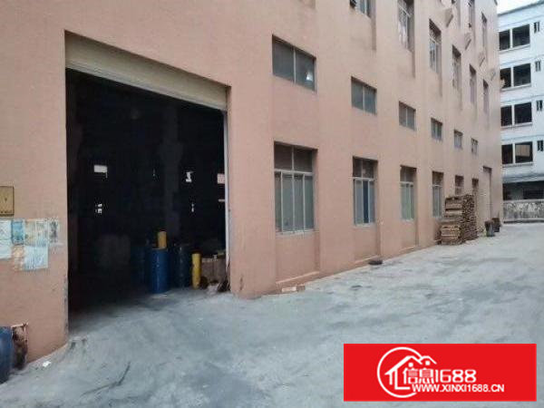 桥头镇新出9成新7米高标准厂房一楼出租