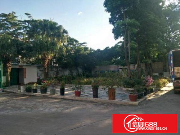 坪山六联社区一楼原房东实际面积出租厂房750平