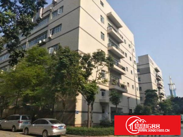 坪山石井原房东二楼厂房900平精装修出租可分租