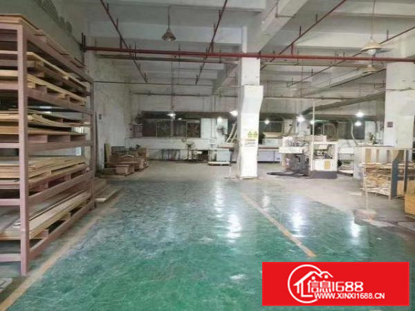 凤岗靠近观澜天堂围工业区带牛角标准一楼厂房1500平米出租