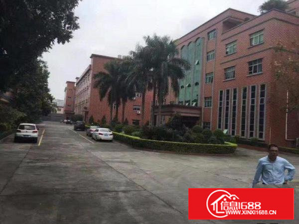 塘厦石马3600平方红本独院厂房。临石鼓/凤岗，塘厦厂房出租