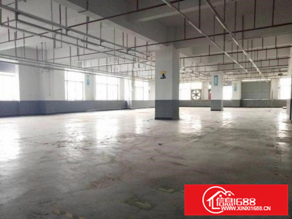 桥沥一楼800平方精装修厂房办公室水电齐空地大