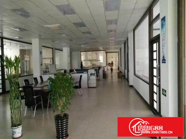 现房分租一楼700楼高6米适合各种行业