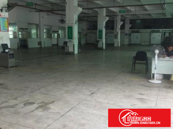 招租合租分租新木1600平厂房