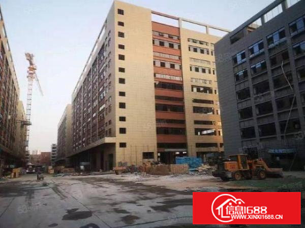 桥头镇厂房隆重招商，红本厂房，厂房一楼高度7.8米