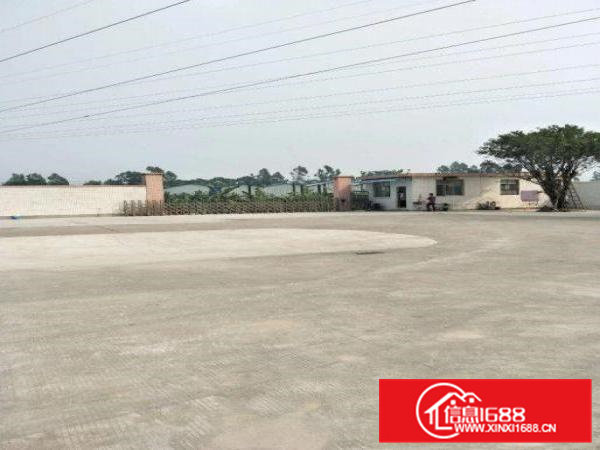 村头独门独院单一层钢结构2500厂房出租