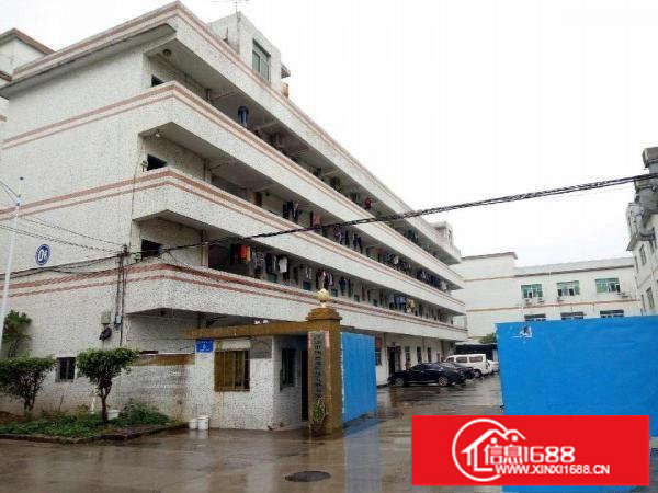 坪山坑梓老坑原房东红本厂房招租三楼1260平米