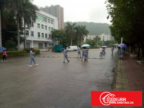 大亚湾石化大道花园式一手房东红本厂房1万平米出租