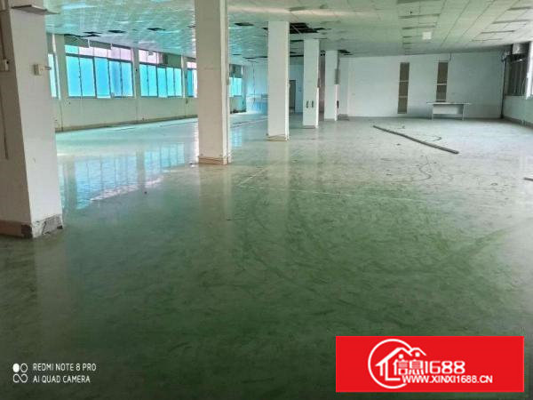 。。塘厦蛟乙塘1200平方米标准。。楼上厂房。。带吊顶。。。