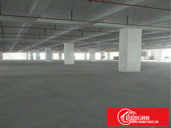 独门独院厂房6000平米