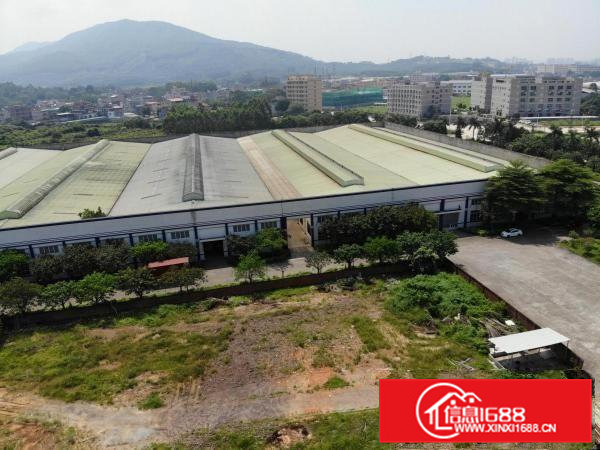 石排安博标准物流仓储厂房出租