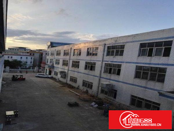 坪山石井新出独院二楼1200平现成办公室招租