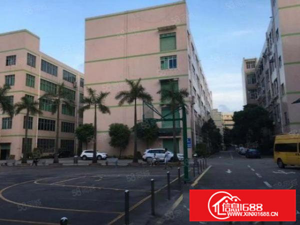 凤岗官井头原房东2000平超大空地花园厂房带红本200起分