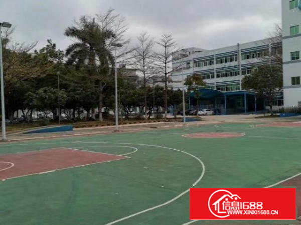 西乡原房东独院18000平米招租