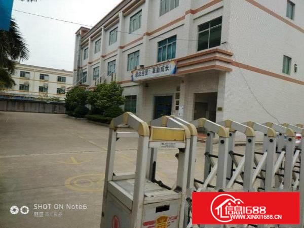 惠阳独门独院标准厂房4800带红本