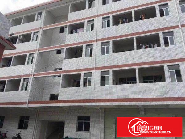 陈江80000平方工业区全新钢架厂房出租可分租