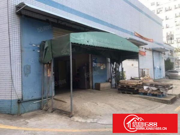 丹竹头地铁口旁一楼200.800.1300平厂房仓库配送直租