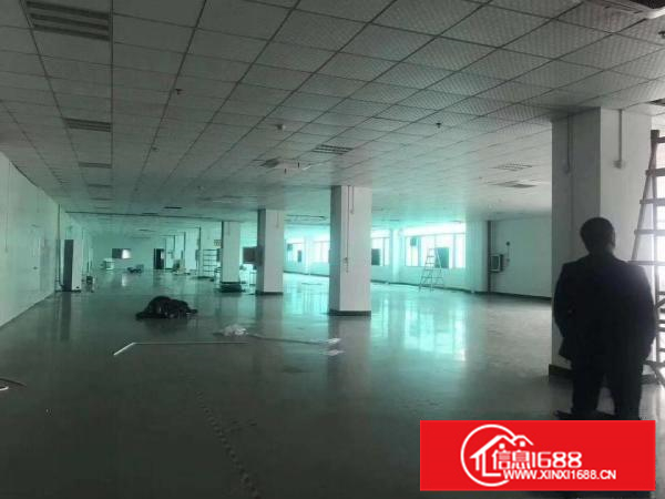 石湾科技园全新重工业厂房出租9600可分租包办环评