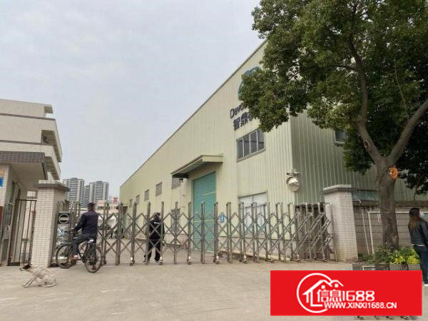 企石镇最新空出靠东部快线原房东九米钢构