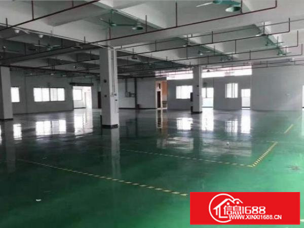 福永兴围一楼厂房800平低价出租，无公摊