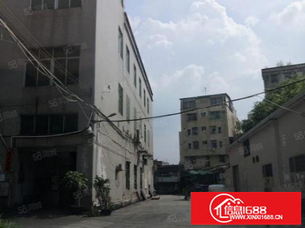 观澜新田.原房东直租.带现成装修.三楼800平方厂房出租