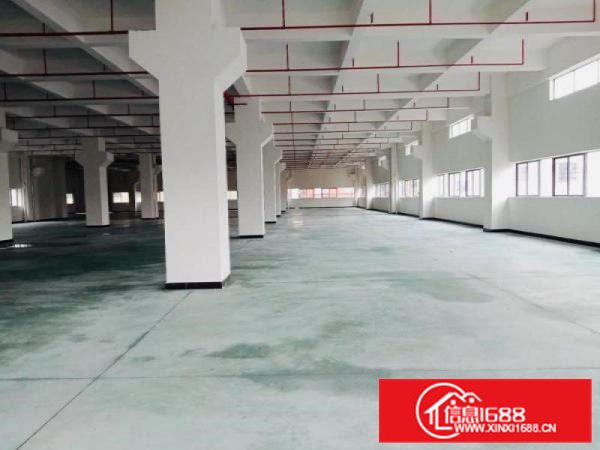 埔心工业区一楼900平方出租