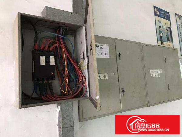 观澜高尔夫3300平米独栋厂房出租