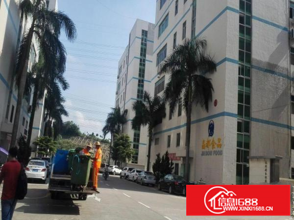 五和地铁口新出3楼800平带装修适合电商办公仓库