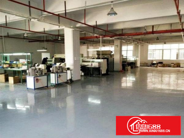 塘厦蛟平山独院标准1楼400平方！现成主线！可装峰谷表