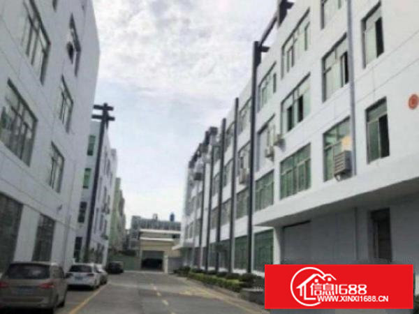 高埗工业园精装修办公楼900平方招租