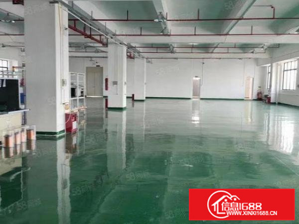 大朗正规工业园精装修厂房出租