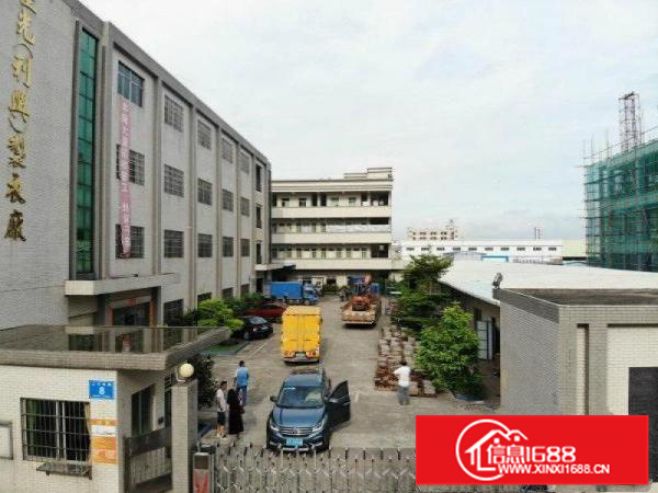 园洲厂房出租园洲厂房出售园洲厂房中介公司