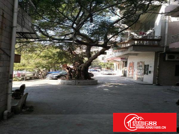 虎门白沙四村厂房招租