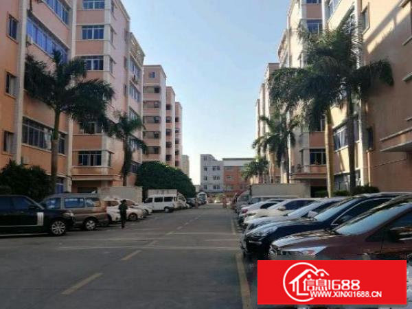 龙山工业区100-2000平厂房招租