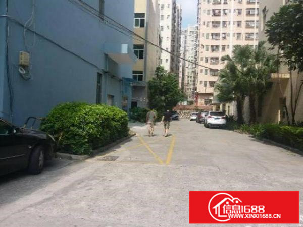 民治展滔大厦附近工业园，楼上各1000平，精装修