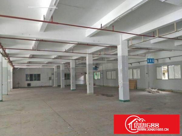 出租龙岗区坪地一楼厂房1000平方