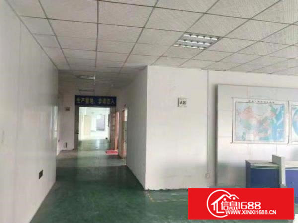 寮步药勒全新标准厂房共5000平方，10元急租