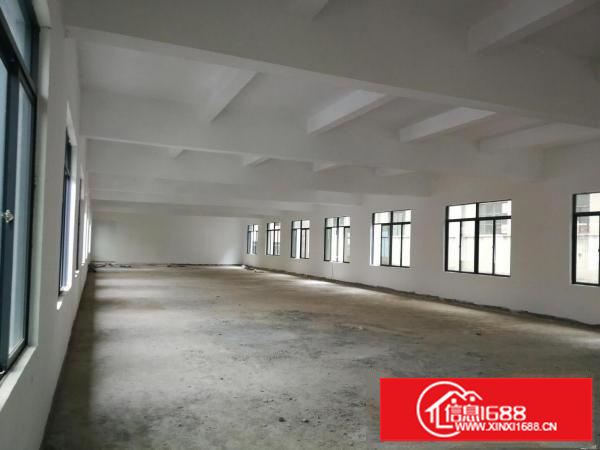 大浪亿康大厦附近一楼厂房、仓库800平