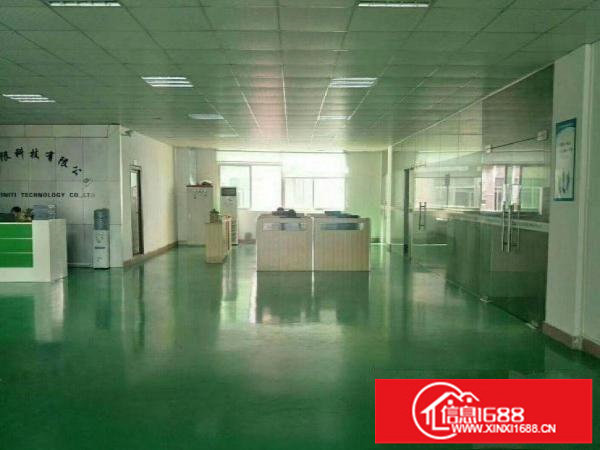 龙岗区南联新出500平米带装修厂房招租