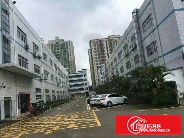 沙井共和新出600平方带装修厂房招租