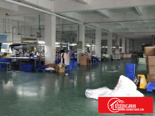 原房东急出租。2楼1500方，12.5块，精装办公室