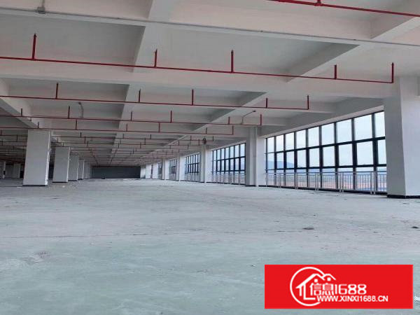 高薪技术开发区，临深独门独户独院