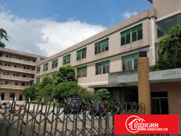 清溪谢坑村分租一楼800平方原房东，可