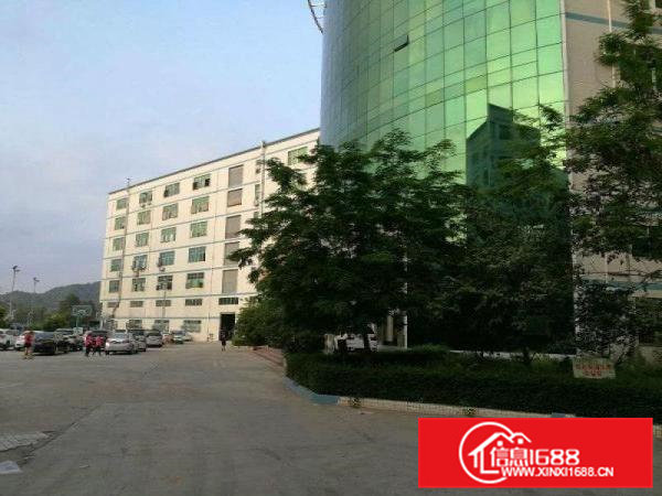 凤岗官井头2楼1200平5楼1500平现成装修厂房