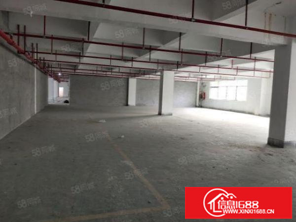 布吉丹竹头地铁附近原房东直租1500平红本厂房