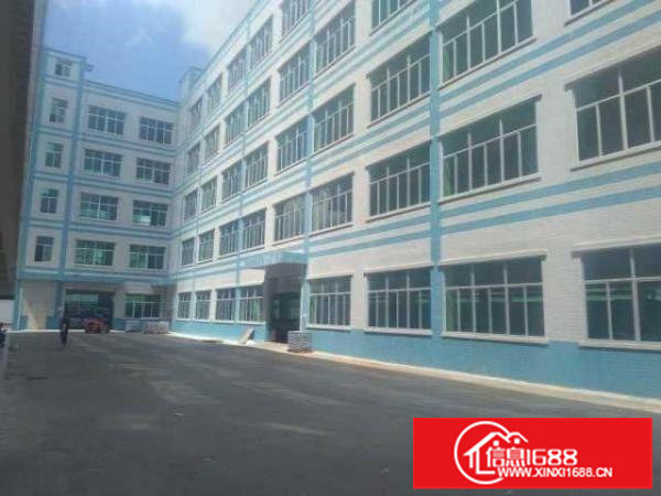 龙华大浪新出红本独院厂房11750平招租（可整层分租）