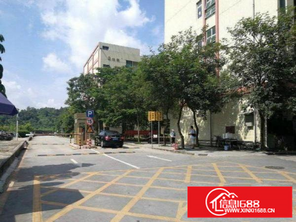 坂田电商产业园2800平出租